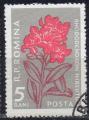 ROUMANIE N 1517 o Y&T 1957 Fleurs (Rhododendron hirsute)