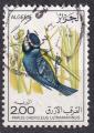 ALGERIE - 1975  - Oiseau  -  Yvert 637 oblitr