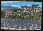 CPM  Provence Vieux Village et Champ de Lavande