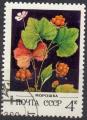 URSS N 4887 o Y&T 1982 Fleurs et baies (Faux murier)