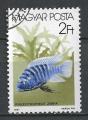 HONGRIE - 1987 - Yt n 3088 - Ob - Poissons aquarium : pseudotropheus zebra