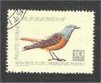 Romania - Scott C60  bird / oiseau