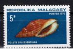 Madagascar / 1970 / Coquillages / YT n 477 **
