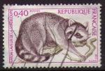 1754 - Raton laveur de Guadeloupe - oblitr - anne 1973