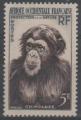 A.O.F 1955 - Chimpanz, neuf sc/MNH - YT 51 **