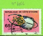 COLEOPTERES - COTE D'IVOIRE YT  N446 OBLIT