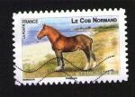 FRANCE Oblitr Used Stamp Cheval Horse Le Cob Normand 2013 Y&T 814