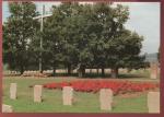 CPM neuve 67 NIEDERBRONN Cimetire militaire Allemand Deutscher Soldatenfriedhof
