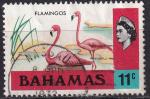 bahamas - n 311  obliter - 1971