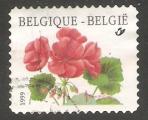 Belgium - SG 3528a  flower / fleur