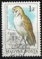 HONGRIE N 2953 o Y&T 1984 Protection de la nature (Tyto alba) 