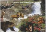 Carte Postale Moderne non crite France - Faune des Pyrnes
