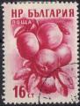 1956 BULGARIE obl 855 TB