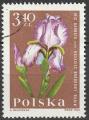 Timbre oblitr n 1404(Yvert) Pologne 1964 - Fleurs, iris barbata