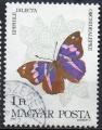 HONGRIE N 2911 o Y&T 1984 Papillons (Epiphile dilecta)