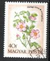 Hongrie Yvert N2322 oblitr 1973 Rose sauvage