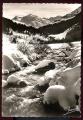 CPM neuve  Paysages d'Hiver dans les Alpes  ruisseau dans la montagne