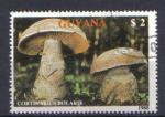 GUYANE 1989 - YT 2483 - champignons - cortinaire ocre-rouge, cortinarius bolaris