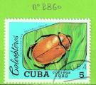 COLEOPTERES - CUBA  YT N2860 OBLIT