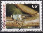 POLYNESIE N 516 de 1996 oblitr "la cigale de Polynsie"