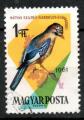 Hongrie Yvert N1481 oblitr 1961 Oiseau geai