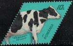 Roumanie 2022 Oblitr Used Vache Holstein race Bovine Y&T RO 6697 SU