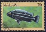 malawi - n 424  obliter - 1984