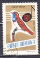 ROUMANIE -1966 - Oiseau  - Yvert  2216 Oblitr
