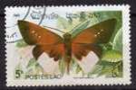 LAOS N 410 o Y&T 1982 Papillon (Iton semanora)