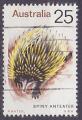Timbre oblitr n 528(Yvert) Australie 1974 - Spiny Anteater