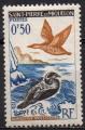 SAINT PIERRRE ET MIQUELON N 364 *(nsg) Y&T 1957 Oiseaux (Eiders)