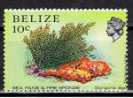 Bélize / 1984 / Vie marine, coraux, éponges / YT n° 664 **