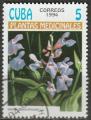 Timbre oblitr n 3357(Yvert) Cuba 1994 - Plantes mdicinales, fleurs, sauge