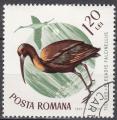 EURO - 1965 - Yvert n 2152 - Ibis brillant (Plegadis falcinellus)