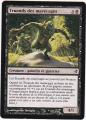 Carte Magic The Gathering / Truands des Marcages / Lorwyn.