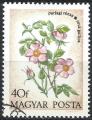 HONGRIE - 1973 - Yt n 2322 - Ob - Fleurs : rose sauvage