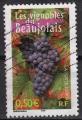 FR38 - Yvert n 3648 - 2004 - Portraits des rgions 3 : Vignobles du Beaujolais
