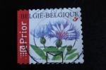 Belgique - Bleuets (autoadhsif) - Anne 2006 - Y.T. 3533 - Oblit. Used