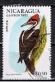 Nicaragua / 1981 / Oiseau, pic / YT n 1161, oblitr