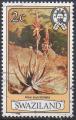 SWAZILAND N 341 o Y&T 1980 Fleurs (Aloe suprafoliata)