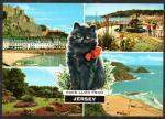 Jersey CPM multi-vues couleurs Chat / Europa Bicentenaire USA