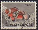 Singapour/Singapore 1962 - Srie courante/Definitive, poisson/fish, 5c - YT 55 