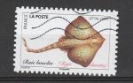 France timbre n 1693 oblitr anne 2019 Poissons de Mer, Raie Boucle