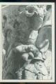 CPM neuve CAYLAR  L'Arbre sculpt par Michel CHEVRAY