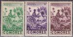 COMORES N 4/6 de 1950 neufs** TB