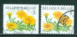 Belgique 2008 Y&T 3767 oblitr Fleur (2 tbres dent diff)