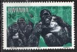 Rwanda 1983; Y&T n 1118 **; 20c, groupe de gorilles de montagne