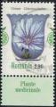 Roumanie 2023 Plantes Mdicinales Cichorium Intybus Chicore sauvage SU