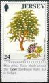 Jersey 1997 - Arbre/Tree : sureau noir/elder - YT 794 / SG 831 **