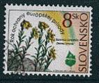 Slovaquie 1995 - YT 183 - oblitr - plante Onosma Tornense